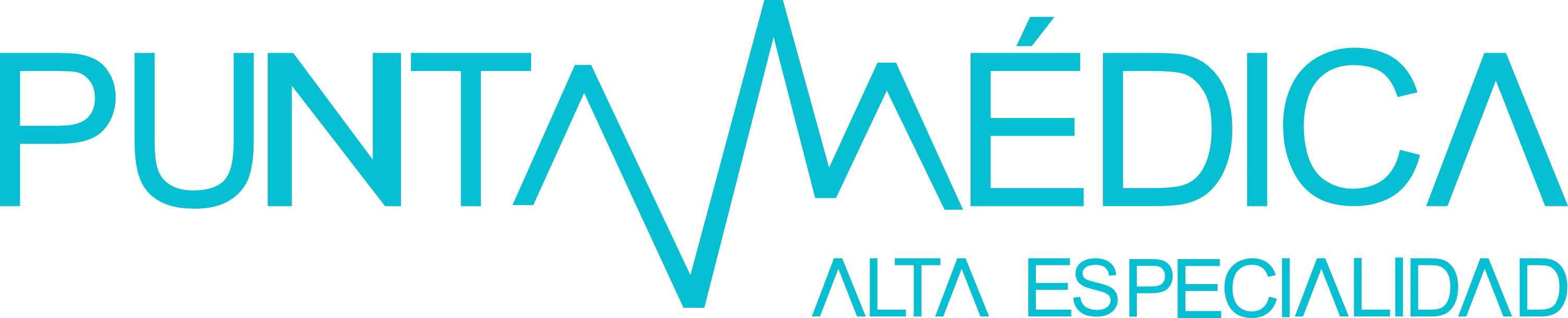 Logo Punta Médica
