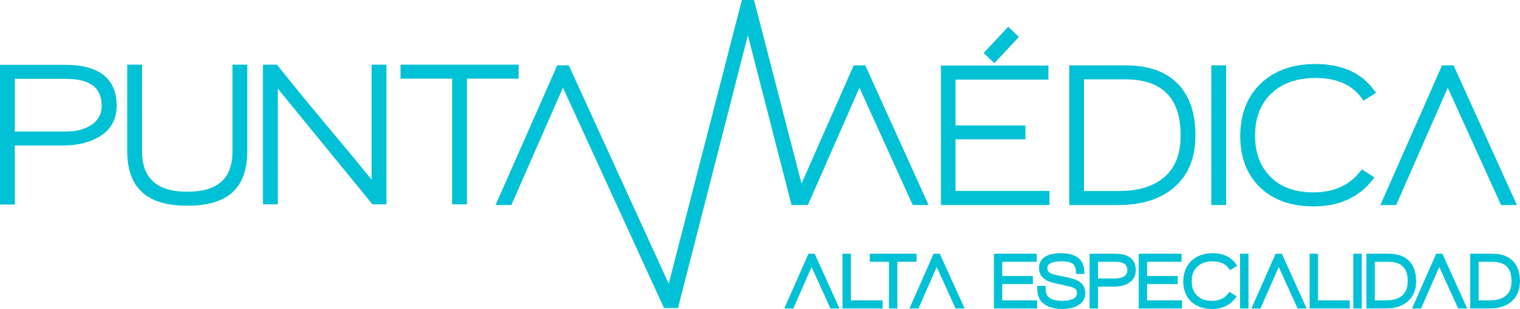 Logo Punta Médica