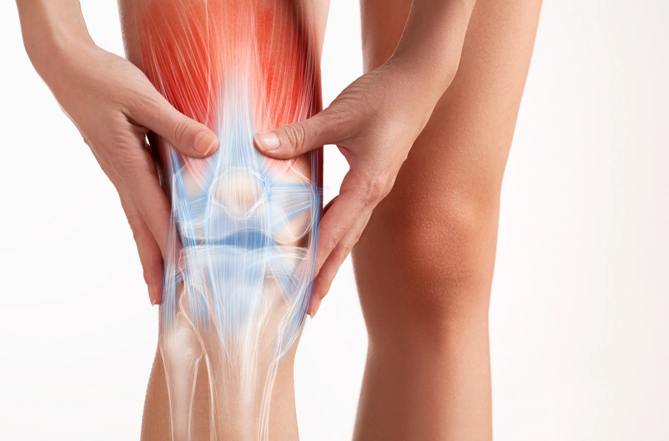 Reemplazo total de rodilla